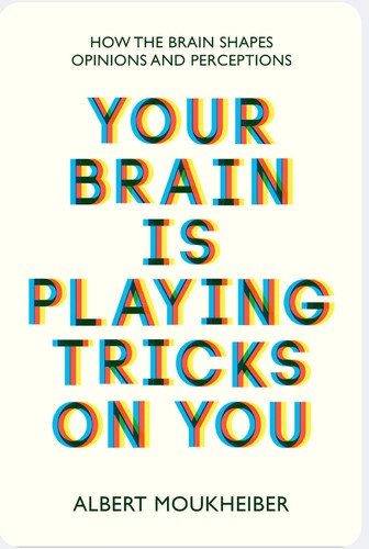Fake Brain